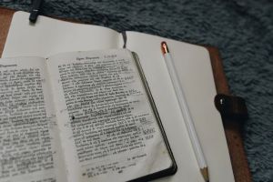 6 Aplikasi belajar bahasa asing Android terbaik, mudah dipelajari