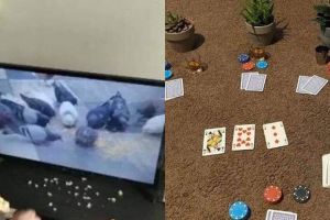 10 Potret orang menghabiskan waktu saat WFH ini bikin ngakak