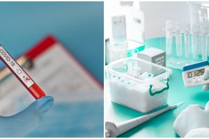 5 Fakta Rapid test Corona, uji cepat deteksi Corona Covid-19