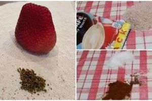 10 Cara nyeleneh orang isi waktu luang, kocaknya niat abis