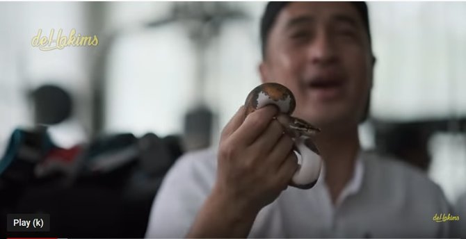 Cerita Sule sebelum sukses, pernah jual ular untuk tetap hidup