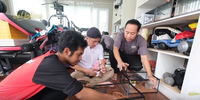 Cerita Sule sebelum sukses, pernah jual ular untuk tetap hidup