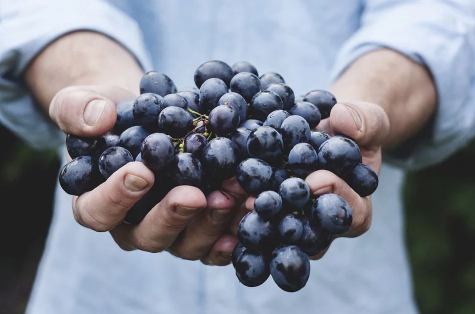 10 Jus buah dan sayur penambah imun, efektif mencegah corona