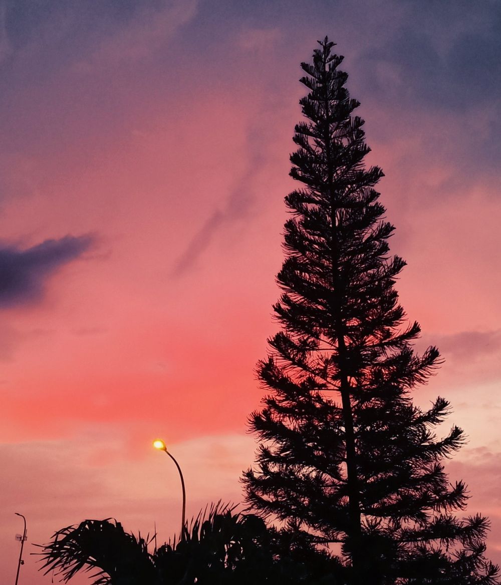 10 Penampakan langit senja Jakarta di masa isolasi corona beda banget