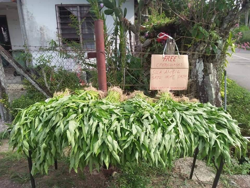 7 Potret desa di Malaysia bagikan hasil panen gratis saat corona
