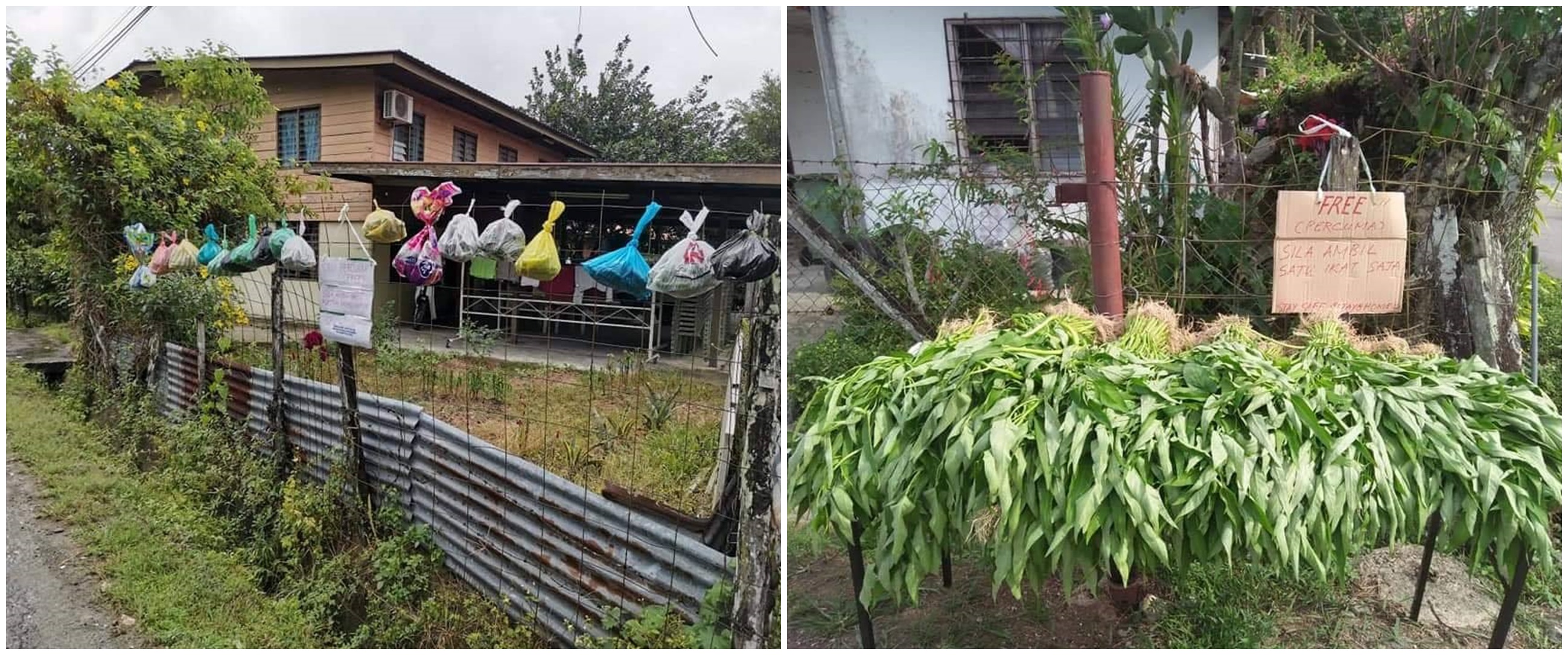 7 Potret desa di Malaysia bagikan hasil panen gratis saat corona
