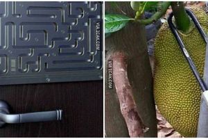 10 Potret demi menjaga keamanan ini nyelenehnya kocak abis