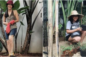 5 Seleb ini tekuni hobi berkebun saat masa isolasi wabah corona