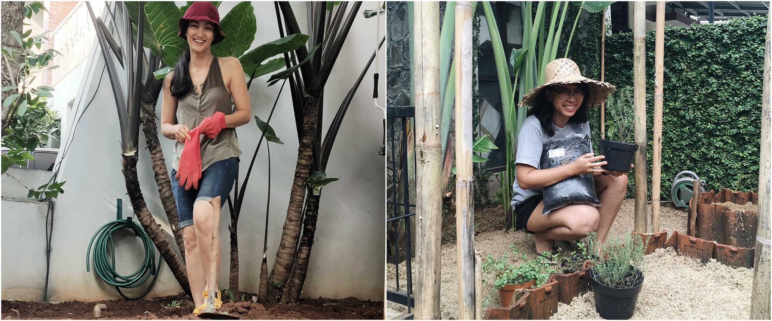 5 Seleb ini tekuni hobi berkebun saat masa isolasi wabah corona