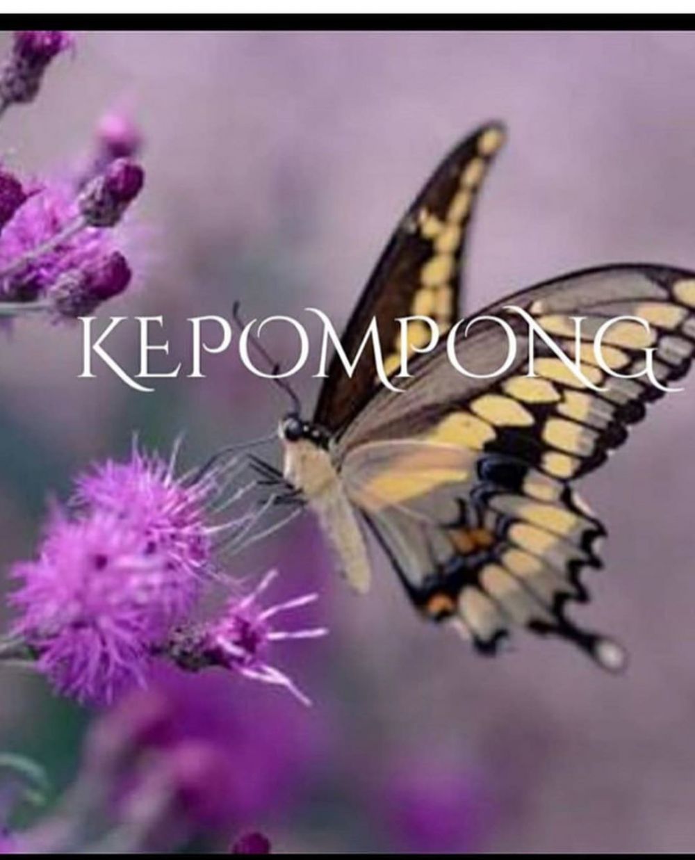 8 Potret arisan geng sosialita Mayangsari di rumah aja, kompak