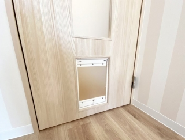 7 Potret apartemen unik khusus pencinta kucing, simple & nyaman