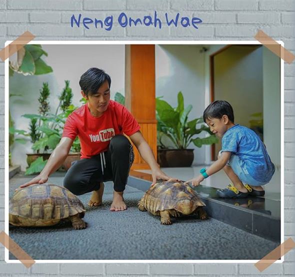 Aktivitas Gibran dan Jan Ethes selama di rumah ini bikin salut