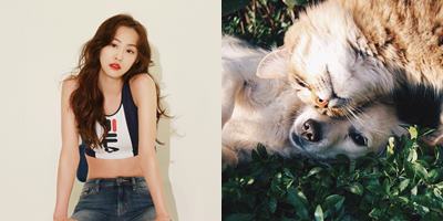 Tak banyak yang tahu, 10 Idol K-Pop ini punya alergi tak biasa