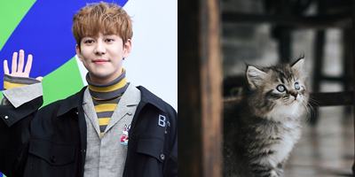 Tak banyak yang tahu, 10 Idol K-Pop ini punya alergi tak biasa