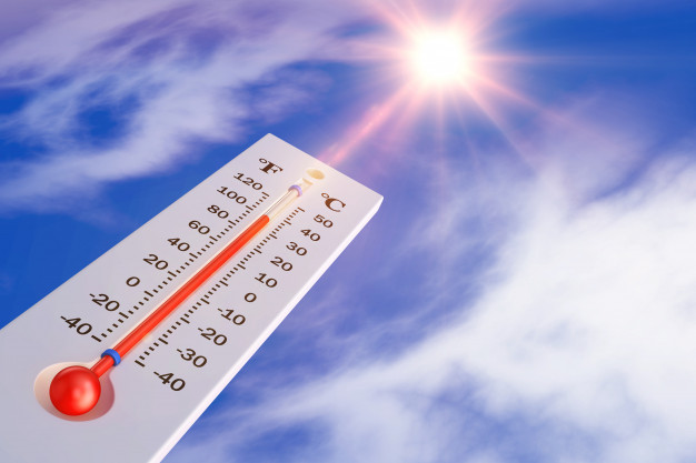 5 Cara mencegah dehidrasi saat cuaca panas terik