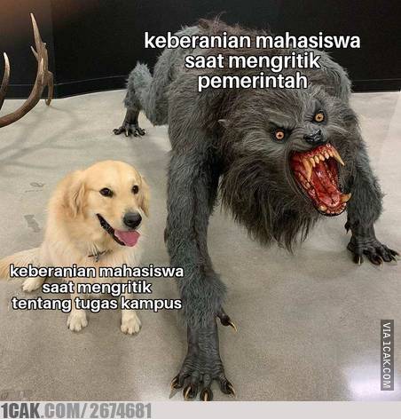 10 Meme tugas kuliah online ini suarakan jeritan hati mahasiswa