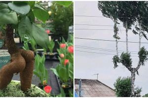 10 Penampakan nyeleneh tanaman ini bikin mikir kemana-mana