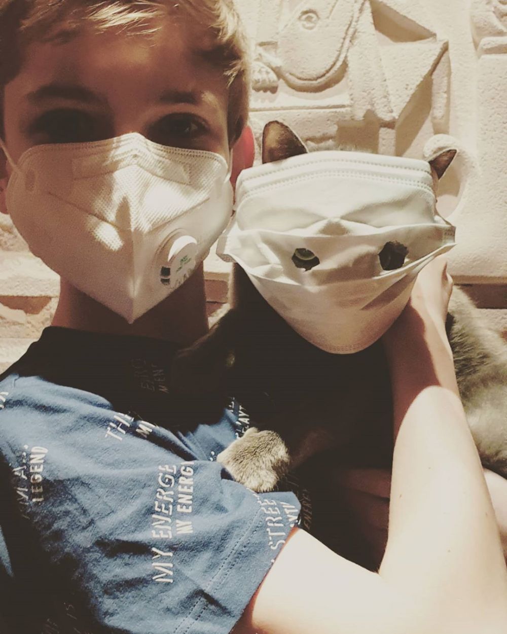 10 Penampakan kucing pakai masker ini bikin gemas sekaligus ngakak