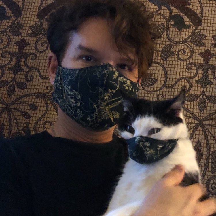 10 Penampakan kucing pakai masker  ini bikin gemas 