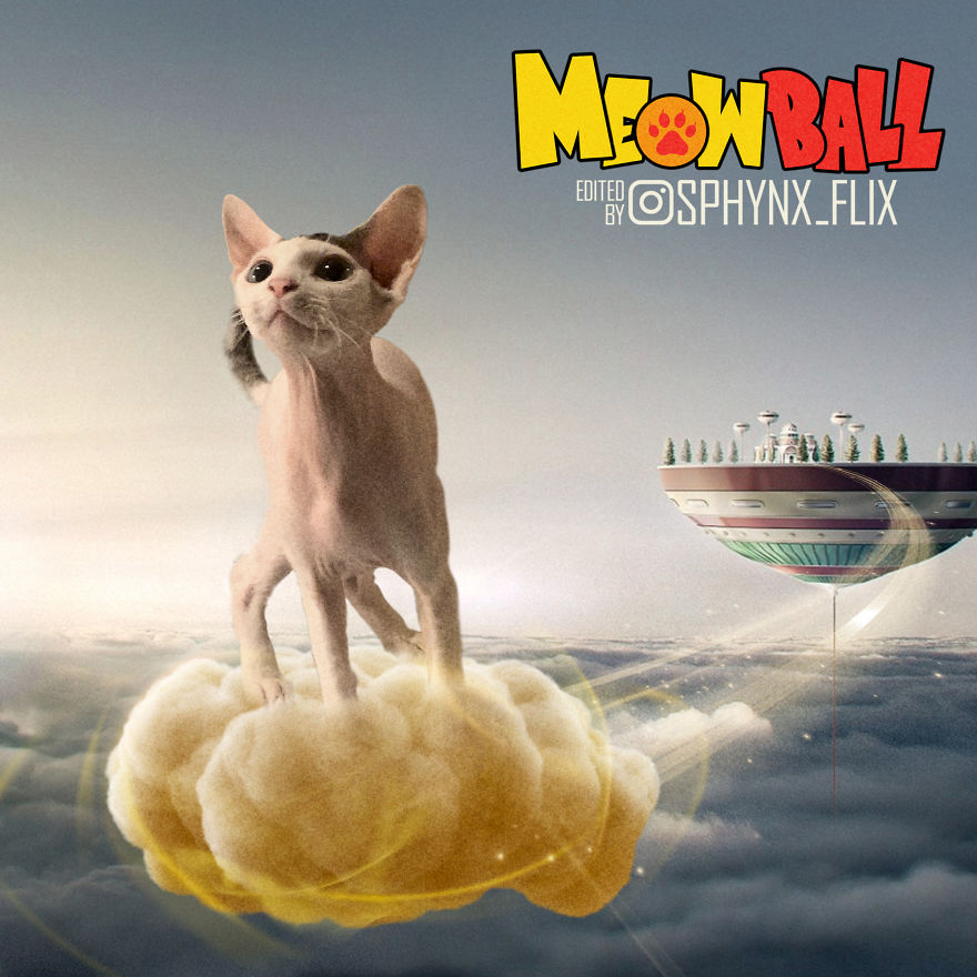 10 Parodi poster film Hollywood oleh kucing, hasilnya kocak abis
