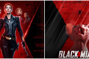 10 Parodi poster film Hollywood oleh kucing, hasilnya kocak abis