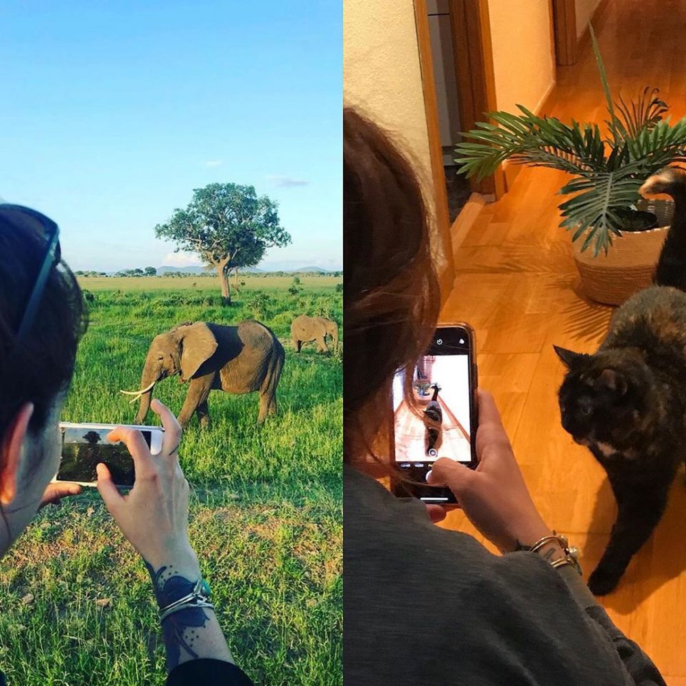  10 Aksi lucu Quarantine Travel Challenge ini kreatif abis