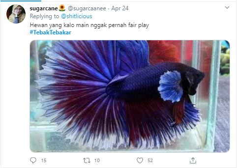 15 Cuitan tebak-tebakan 'hewan' ini bikin kamu mengangguk setuju