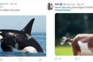 15 Cuitan tebak-tebakan 'hewan' ini bikin kamu mengangguk setuju