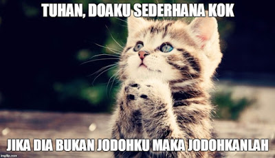 10 Meme kucing sedang jatuh cinta, romantis banget