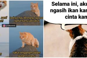 10 Meme kucing sedang jatuh cinta, romantis banget
