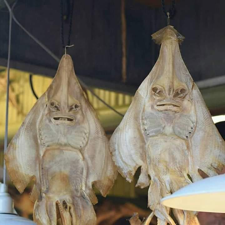 10 Potret nggak sengaja benda sehari-hari ini endingnya malah seram