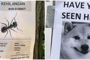 20 Meme poster 'kehilangan'ini nyelenehnya bikin geleng kepala