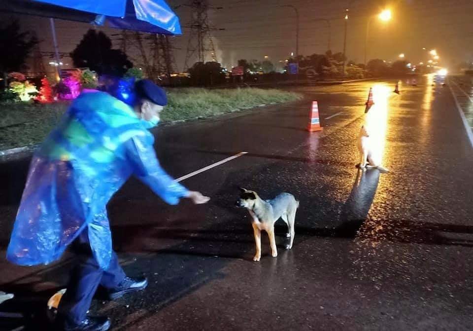 Potret polisi sahur di jalan sambil beri makan anjing liar, salut