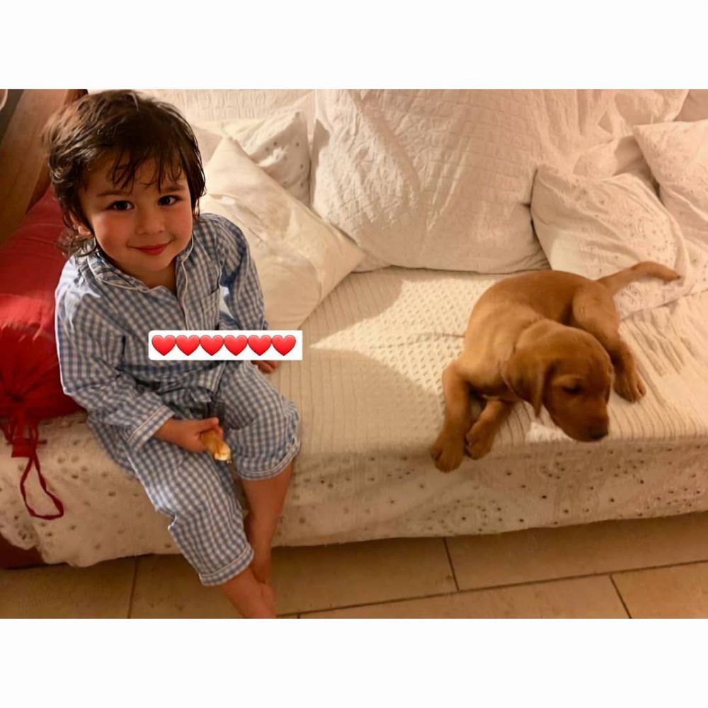10 Potret gemas Taimur anak Saif Ali Khan dan Kareena Kapoor