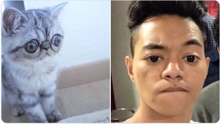 10 Cocoklogi tingkah seleb dengan kucing ini usilnya kebangetan