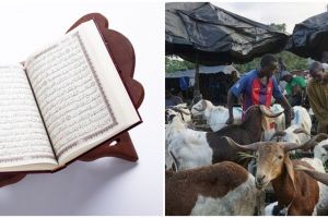 Kisah Nabi Ismail dan awal mula ibadah kurban