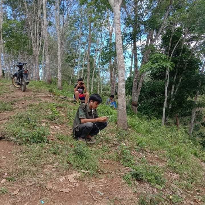 4 Potret perjuangan mahasiswa kuliah online, naik tebing demi sinyal