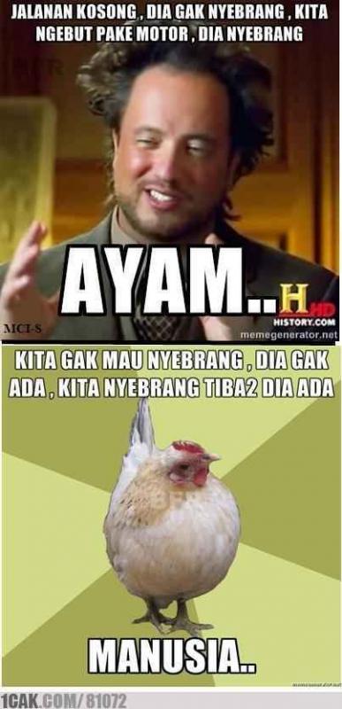 10 Meme lucu ayam ini bikin ketawa kesel
