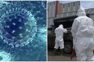 Ini penjelasan pakar sejarah tentang bagaimana pandemi berakhir