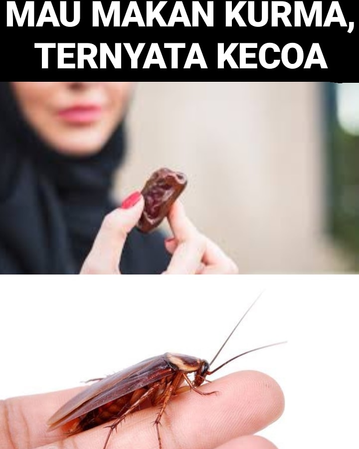 10 Meme gagal fokus ketika puasa, seketika linglung