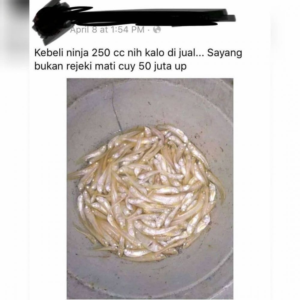 10 Cara promosi nyeleneh di status FB ini bikin geleng kepala