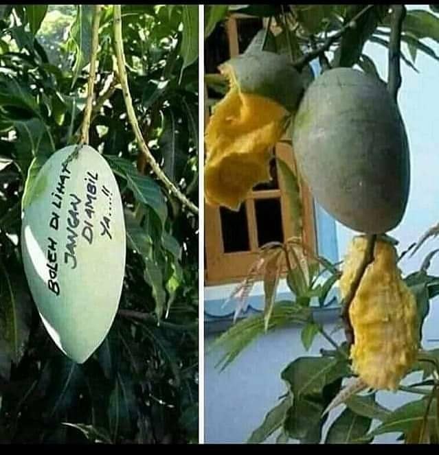 10 Momen lucu cara makan nggak biasa ini bikin ngelus dada