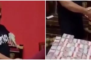 Viral, pria ini beli tokek seharga Rp 10 M secara tunai