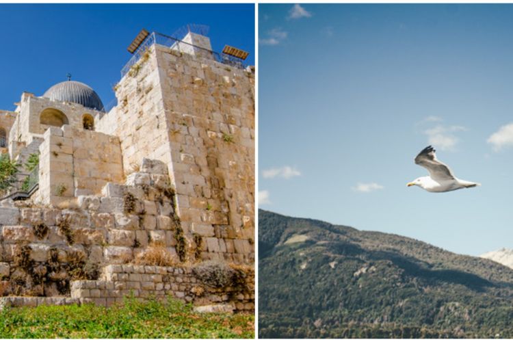 Kisah Nabi Isa Dari Kelahiran Hingga Misinya Di Akhir Zaman Kisah Nabi Isa Dari Kelahiran Hingga Misinya Di Akhir Zaman