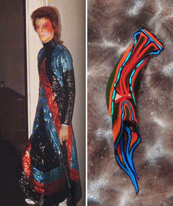 15 Potret David Bowie mirip siput laut, gayanya ikonik