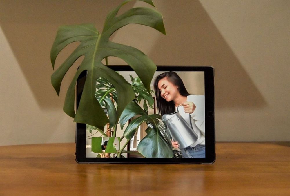 7 Aktivitas Angela Gilsha saat pandemi corona, hobi bercocok tanam