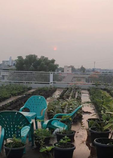 7 Potret rumah Ustaz Yusuf Mansur, luas dan penuh pepohonan