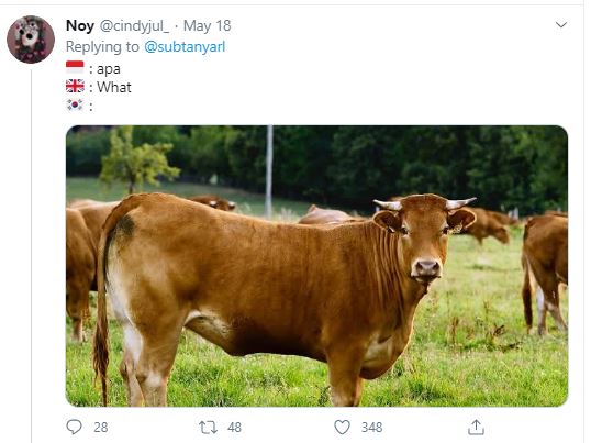 10 Cuitan lucu bahasa Korea ini bikin kamu mikir keras