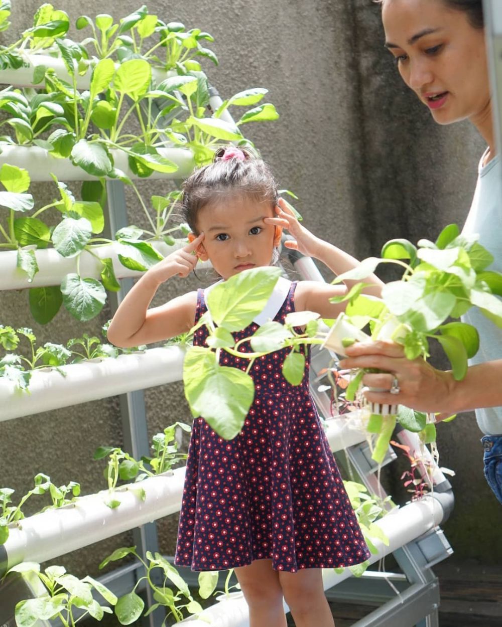 6 Momen seru Atiqah Hasiholan berkebun, ajak anak panen bayam