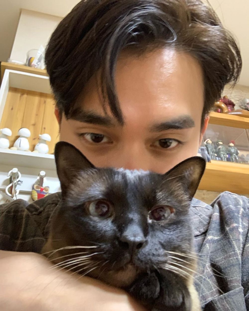 10 Seleb Korea ini pencinta kucing, sama sama bikin gemas